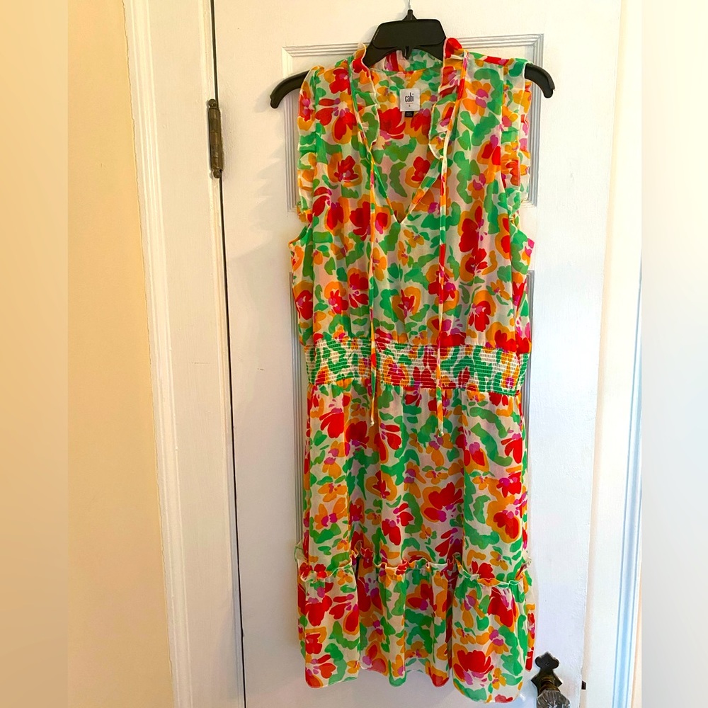 Cabi spirit dress
